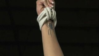 Гармония - Күнекмәләр шлюха - Метражлы фильм